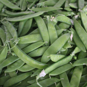 Pois mange-tout bio