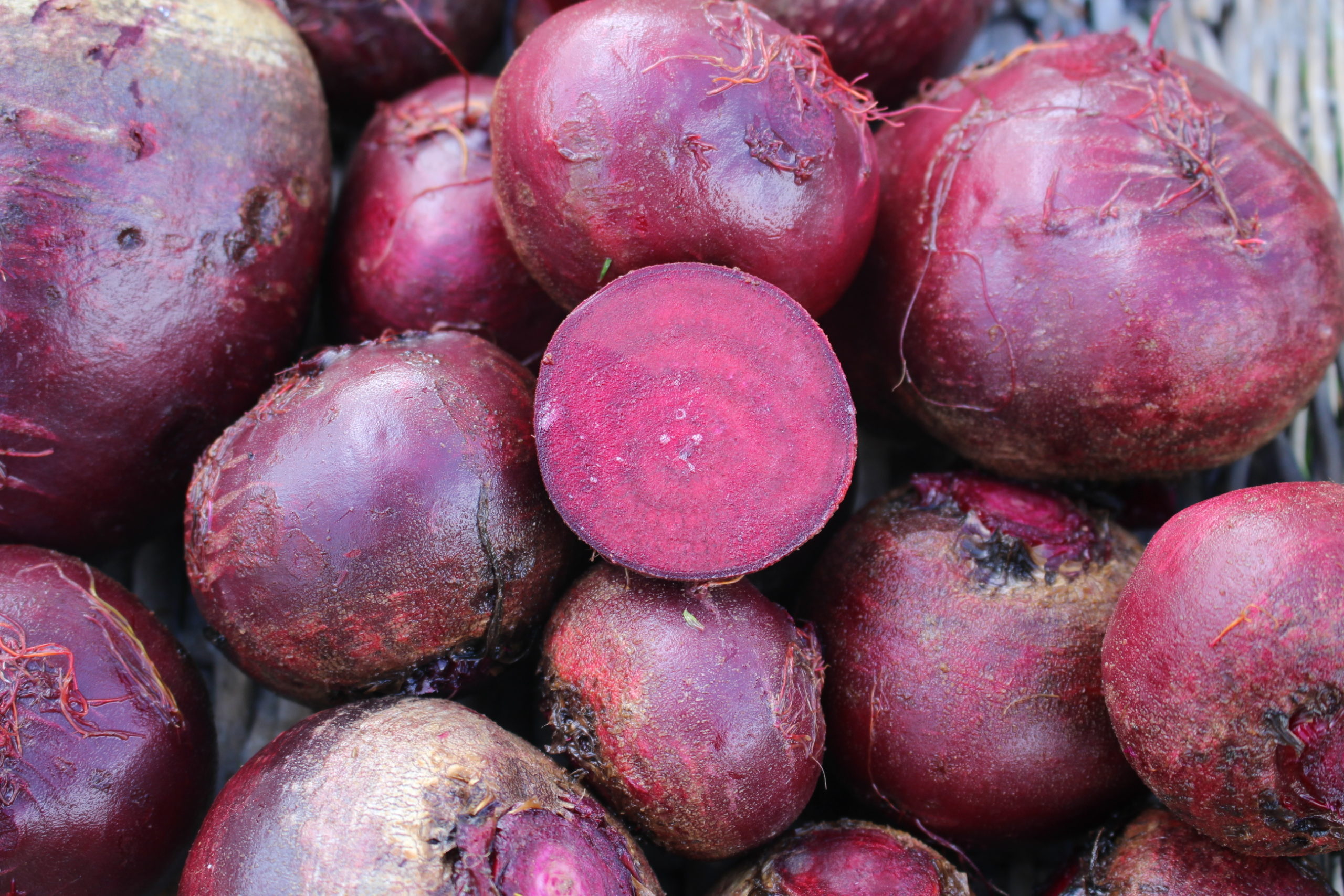 Betteraves crues rouges