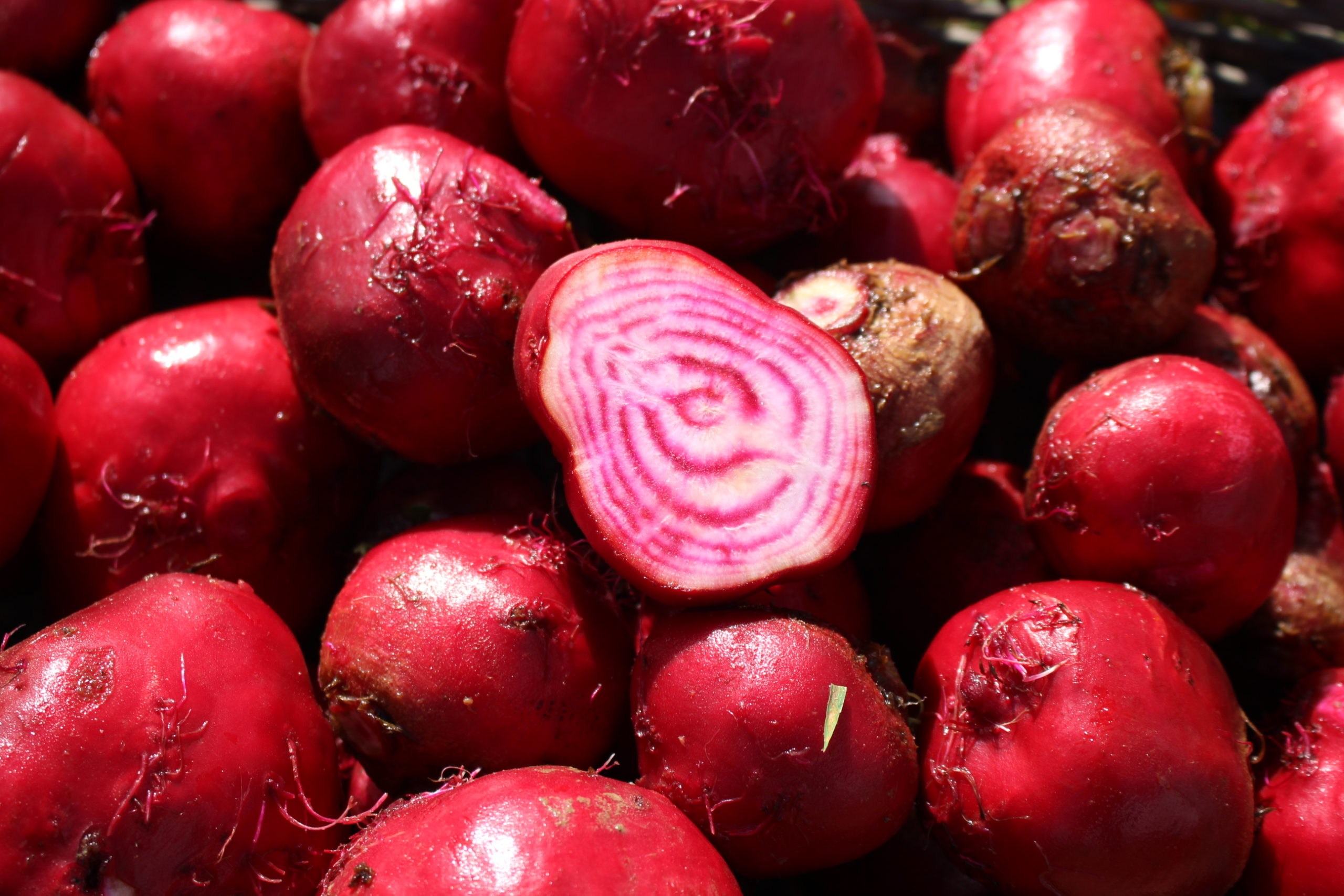 Betteraves crues Chioggia