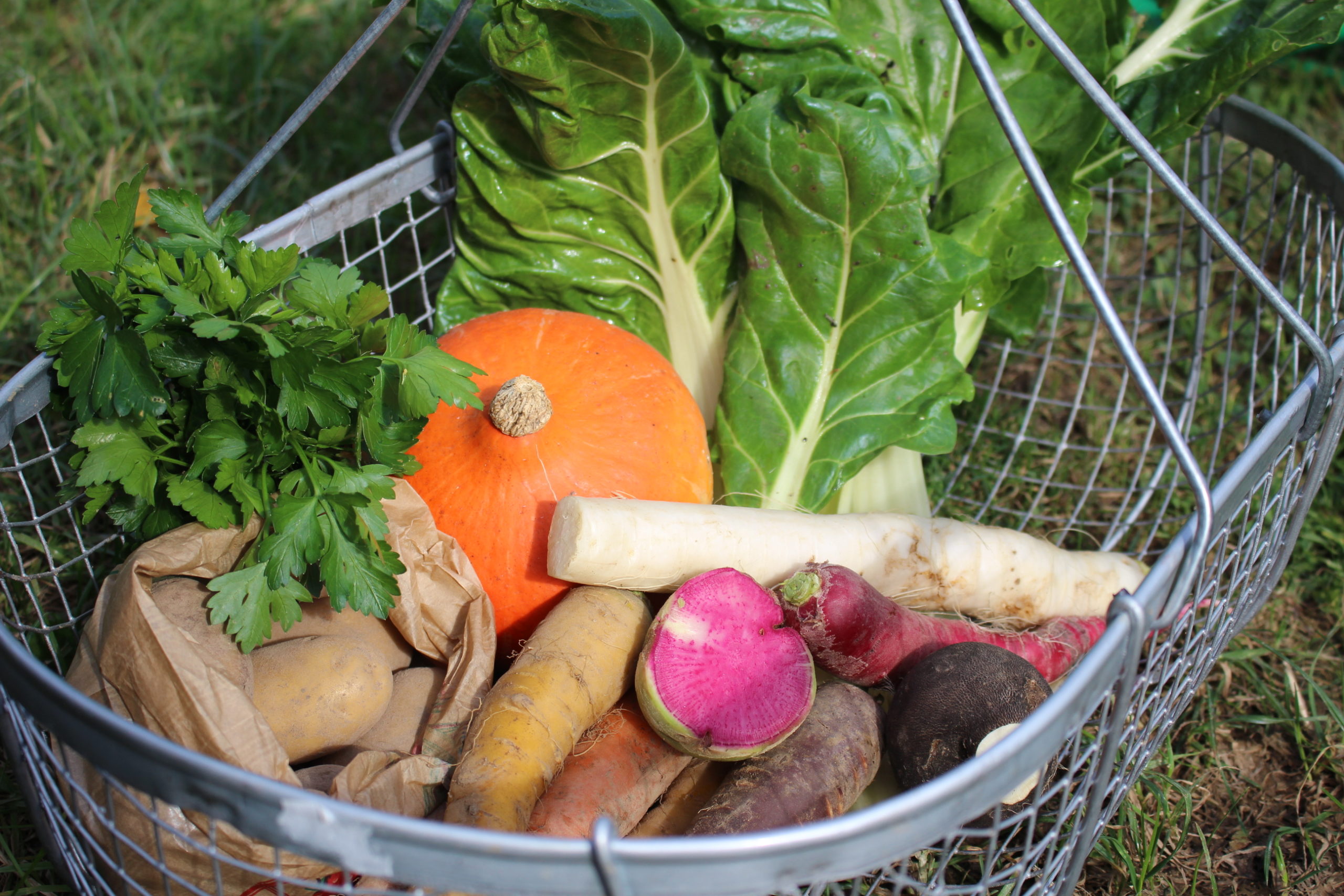 Le Petit Panier Bio de la semaine - 2 personnes – Image 3