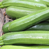 Courgettes vertes bio