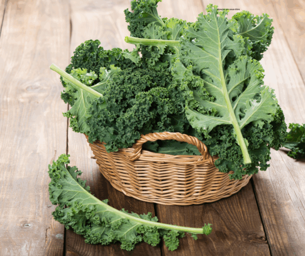 Chou Kale