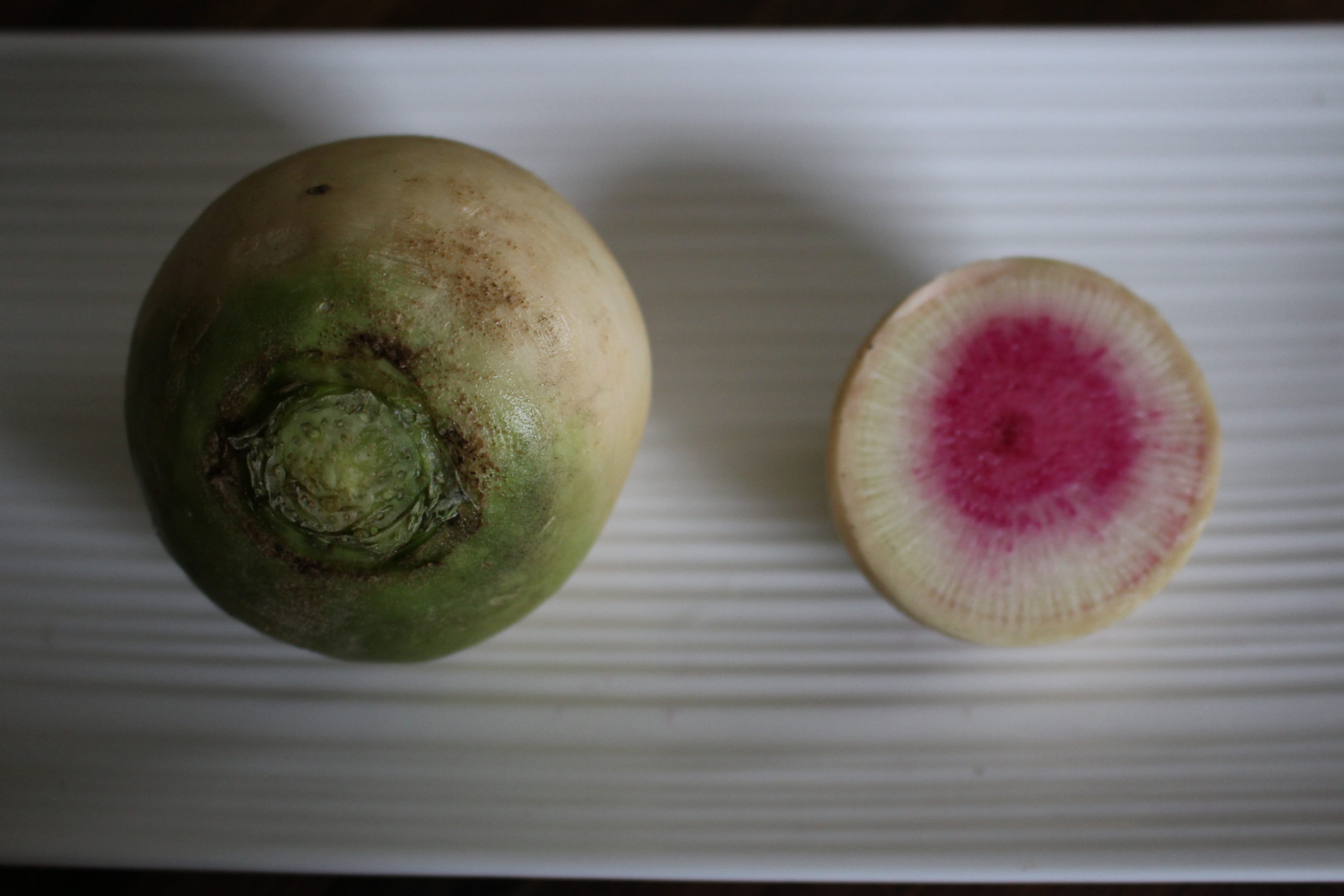 Radis japonais - Red Meat