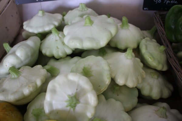 Courge Patisson blanc