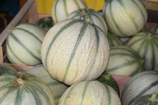 Melon (pour les gourmands!)