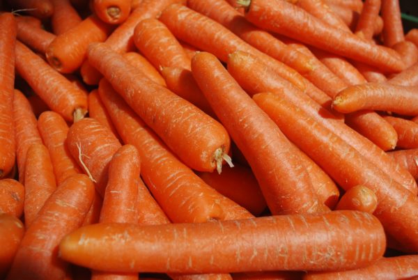Carottes oranges