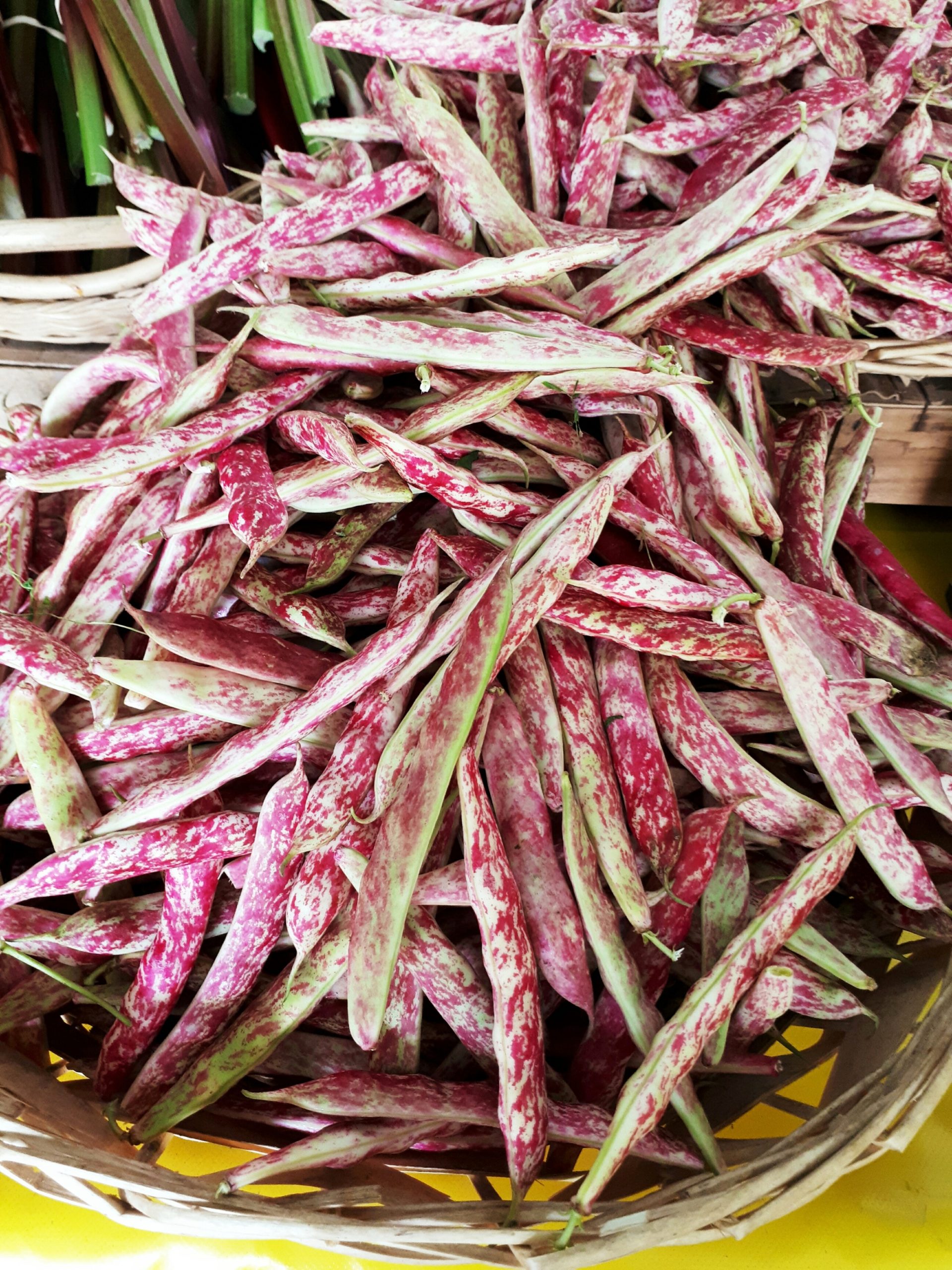 Haricots Coco