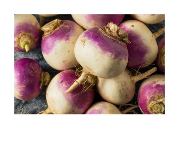 Navets violet