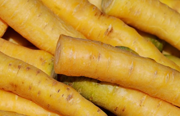 Carottes jaunes