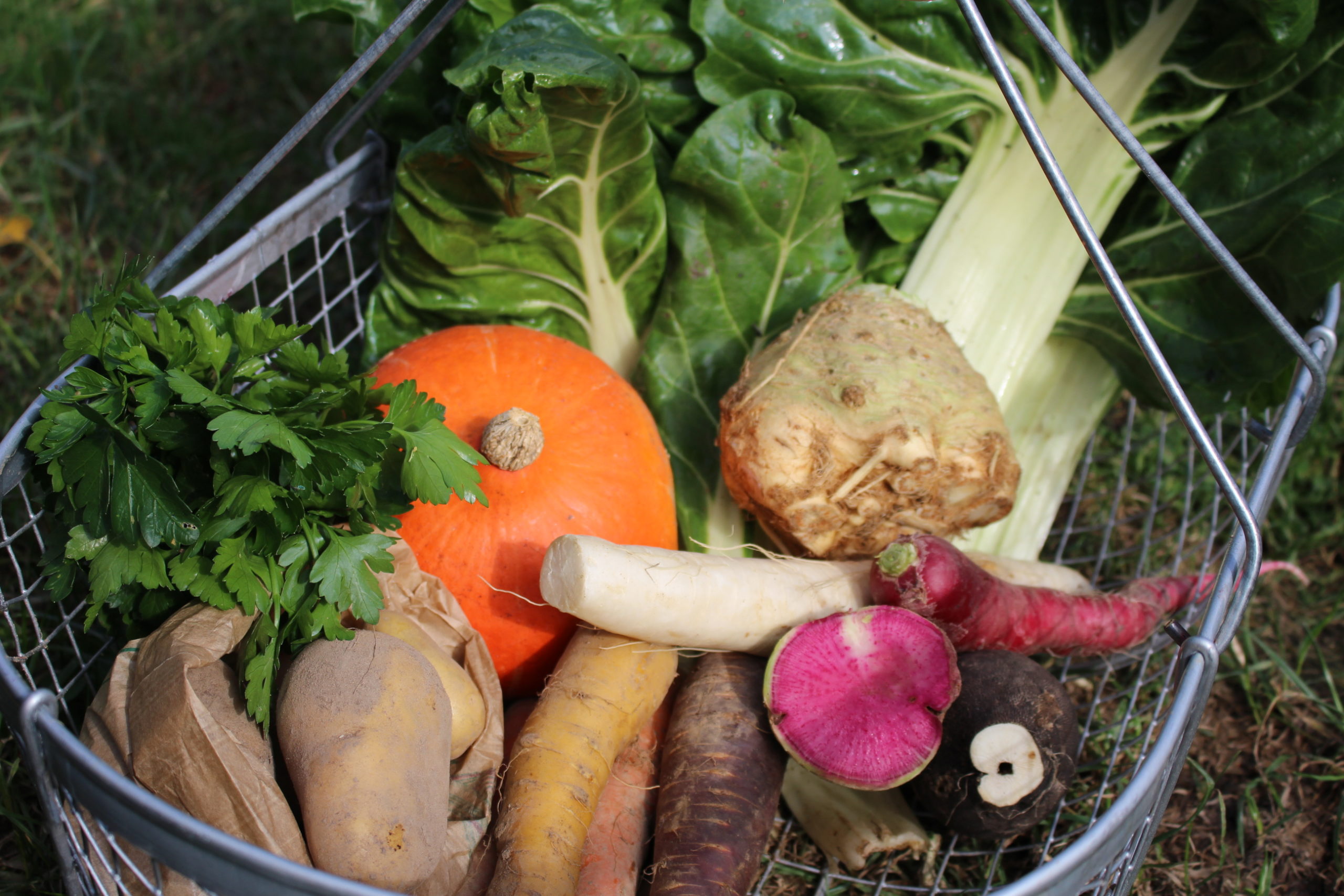 Le Grand Panier Bio de la semaine - 4 personnes – Image 2