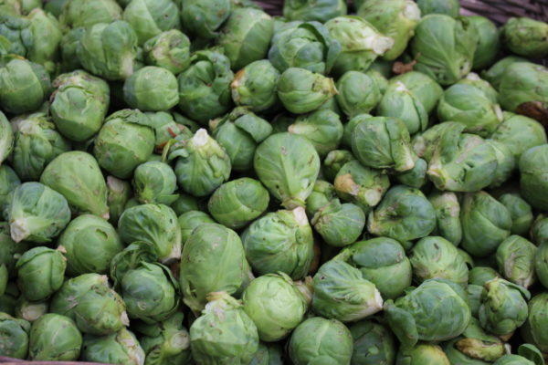 Choux de Bruxelles