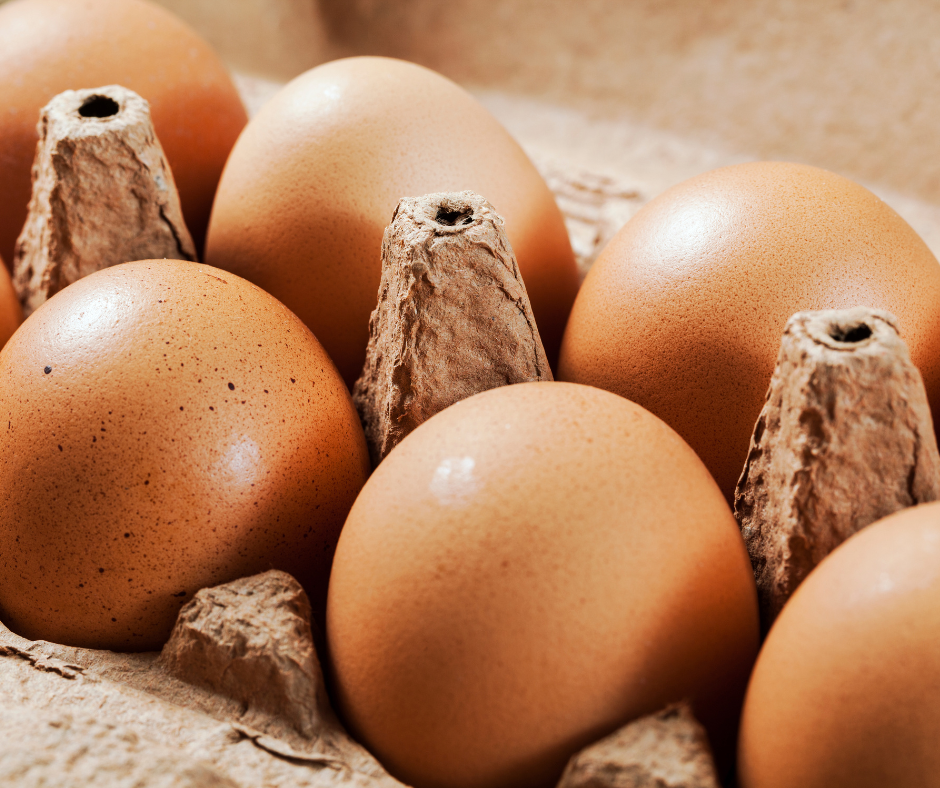 Oeufs Bio calibre 53/63 - Boîte de 6