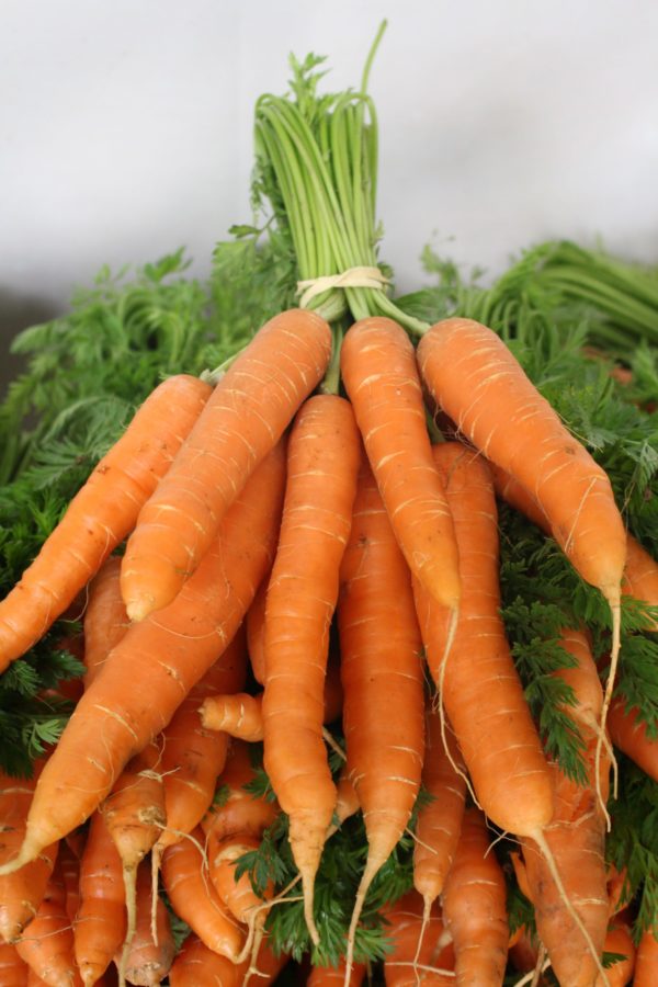 Carottes nouvelles