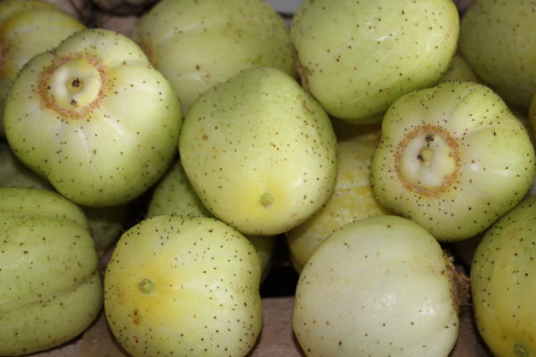 Concombre Lemon