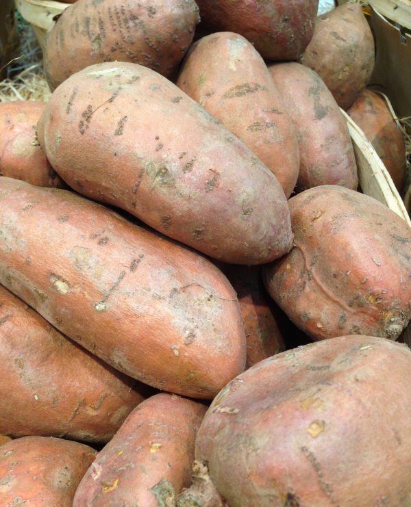 Patate douce - chair orange – Image 2