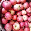 Pommes, variété Elstar – Image 2