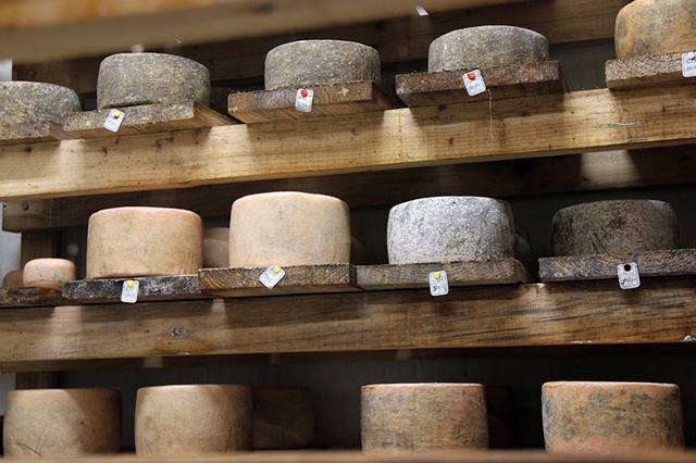 Tomme brebis, Gaec Quinrouet