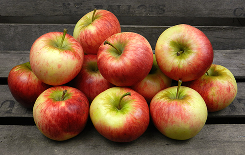 Pommes variété Dalinette