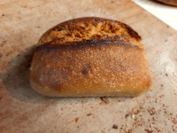 Pain petit épeautre