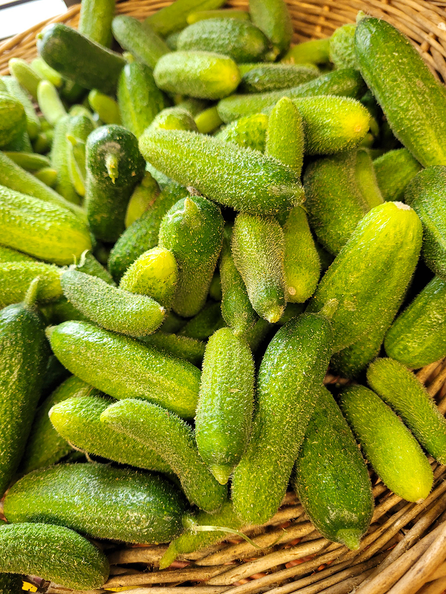 Cornichons La Ferme du Coin Tréméreuc
