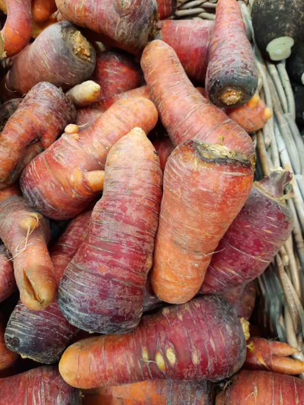 Carottes violettes