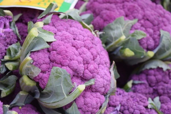 Chou fleur violet