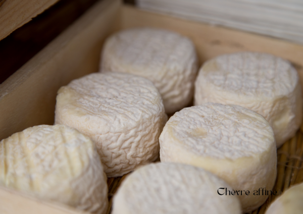Chèvre p'tit rond affiné / Chèvrerie Fréhel