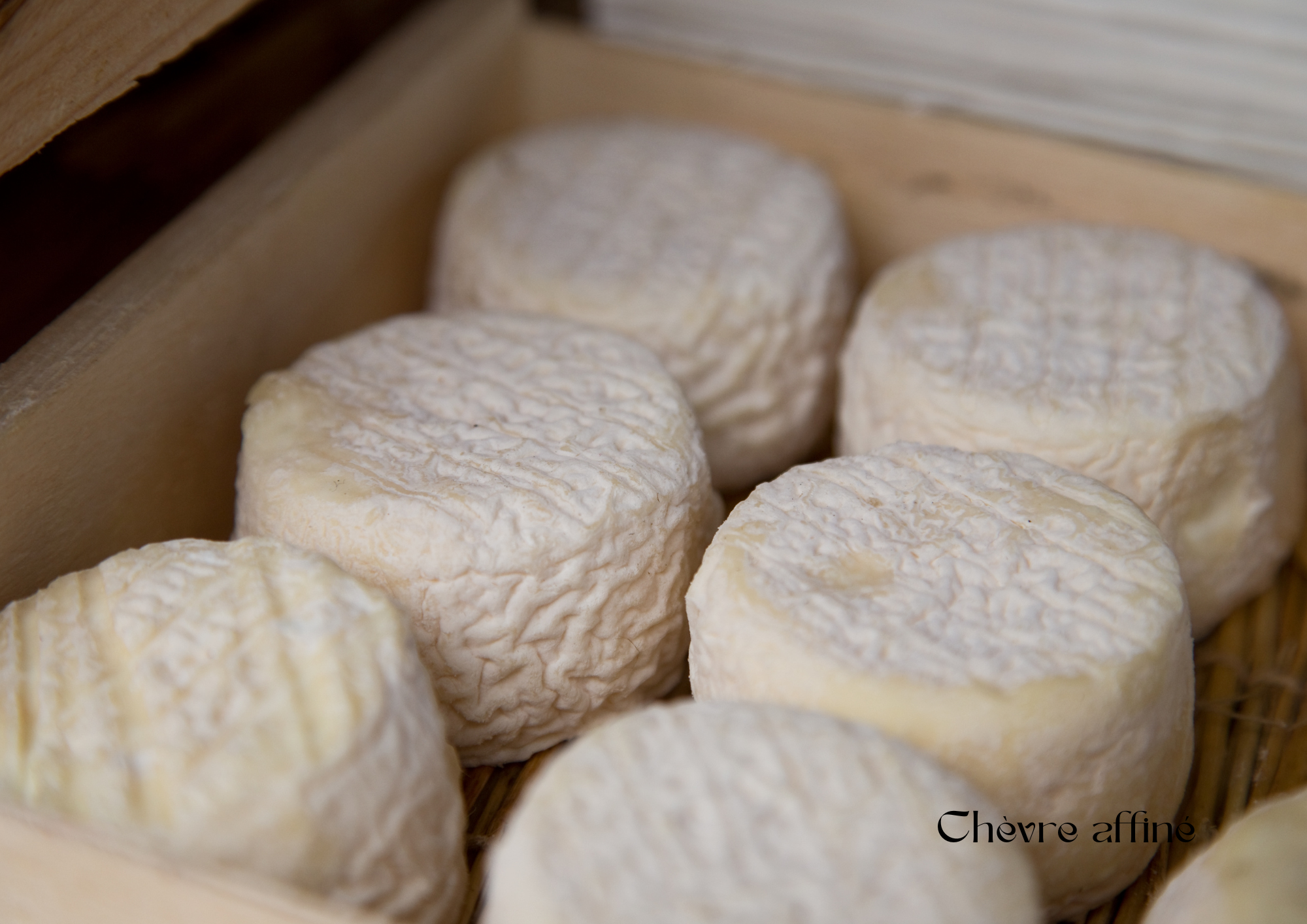 Chèvre p'tit rond affiné / Chèvrerie Fréhel