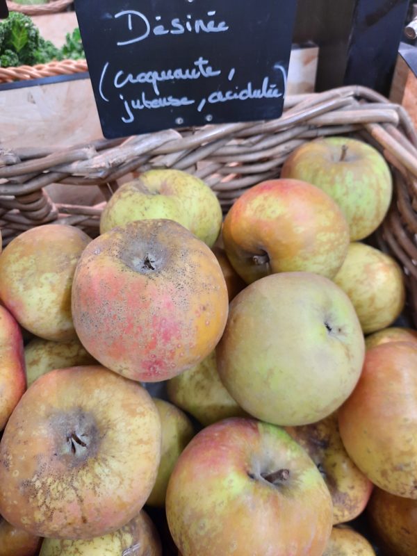 Pomme, variété Désirée