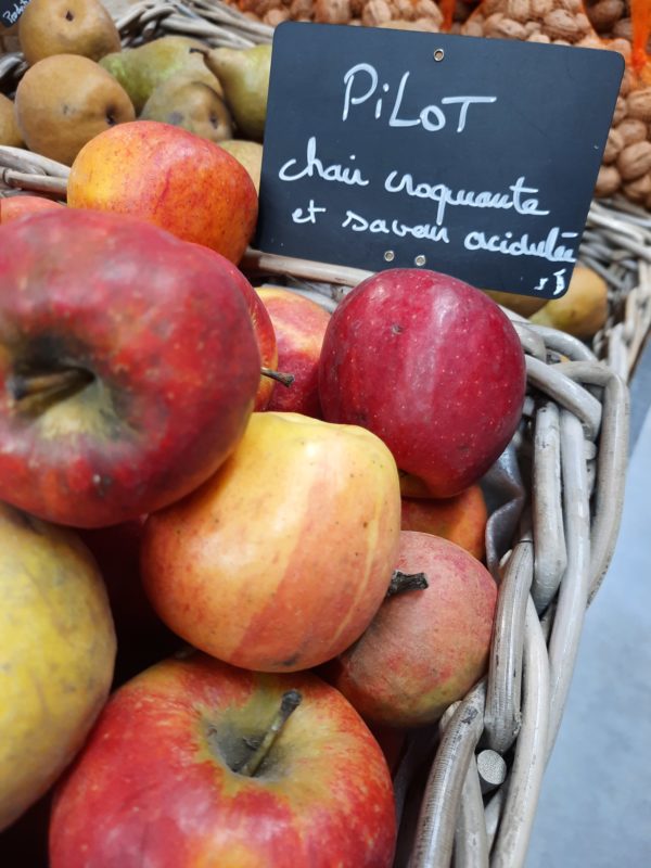Pomme variété Pilot