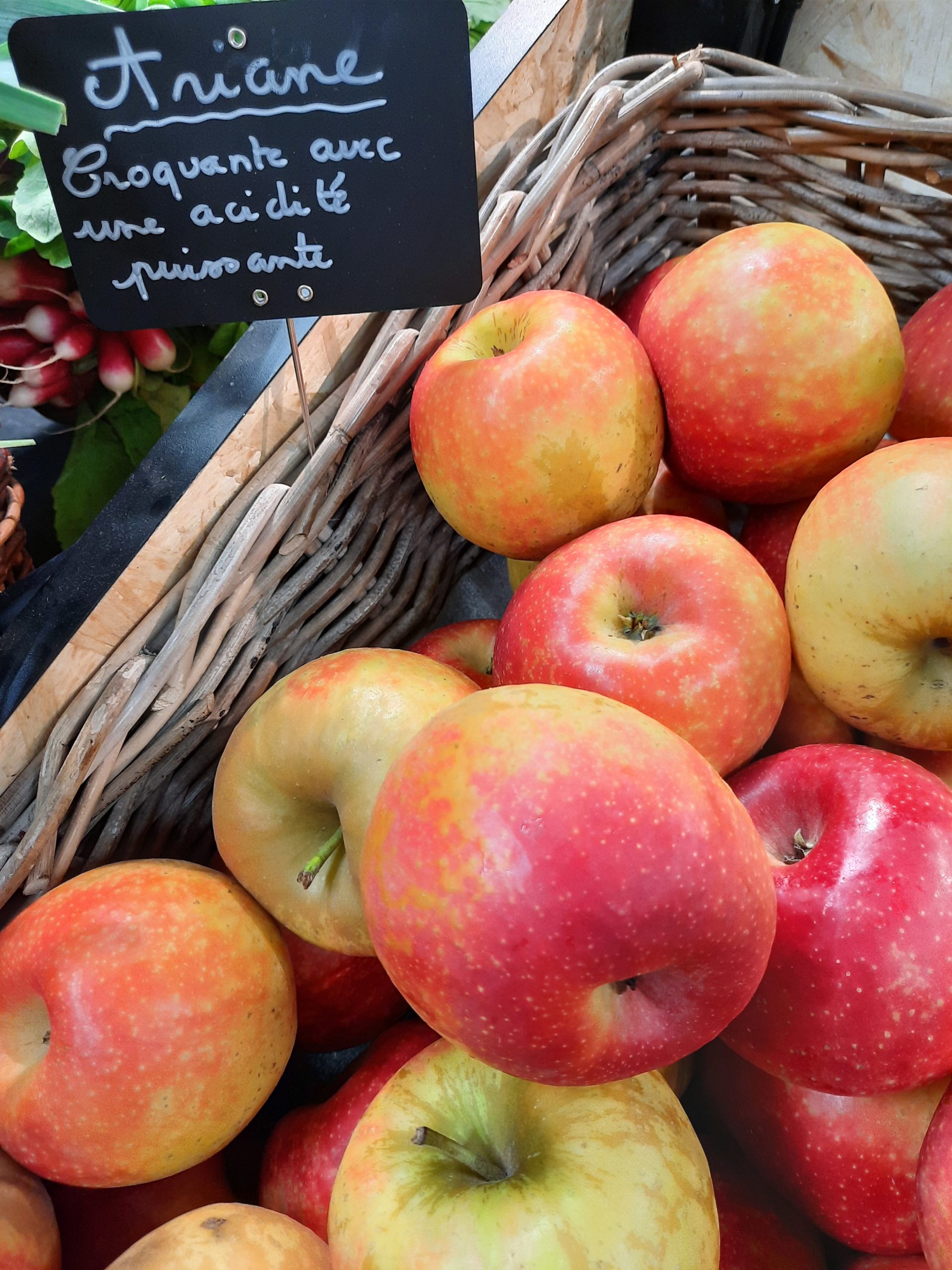 Pomme, variété Ariane