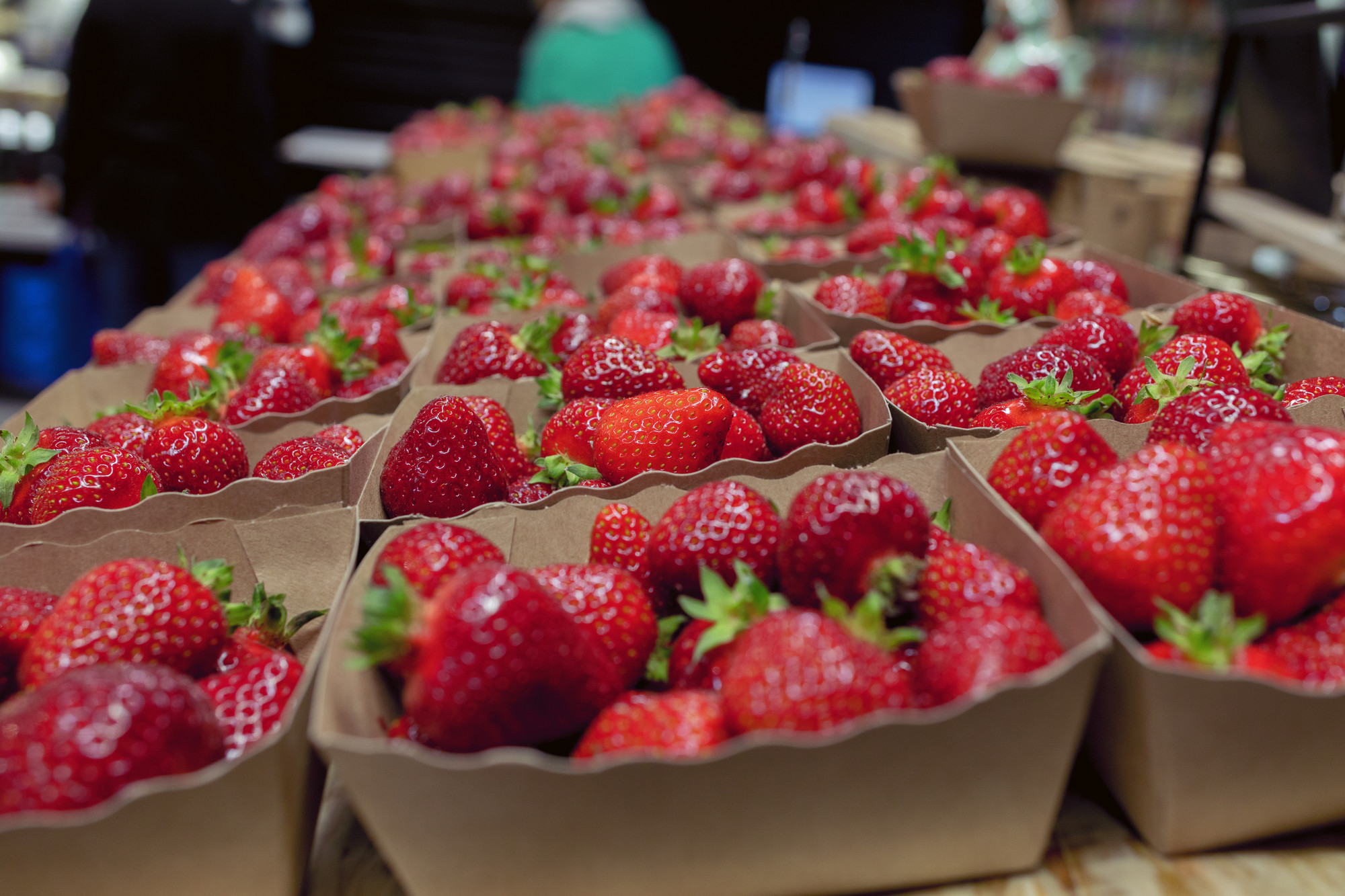 Fraises - variété Dream