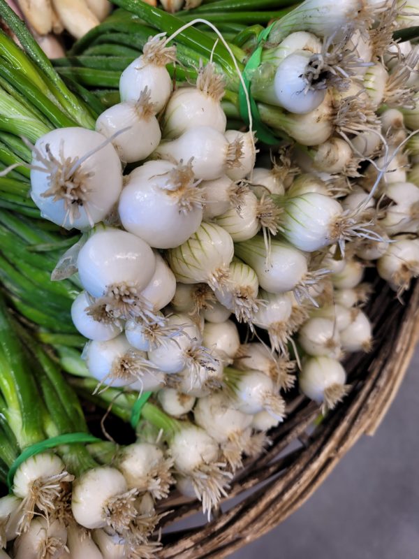Oignons grelots