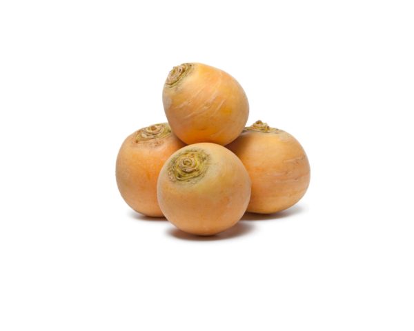 Navets boule d'or
