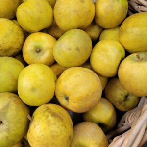 Pommes, variété Lafayette