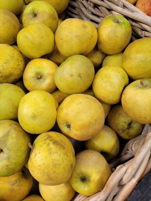Pommes, variété Lafayette