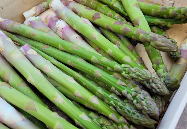 https://www.fermeducoin.fr/wp-content/uploads/2022/03/asperge-caisse-650x450.jpg