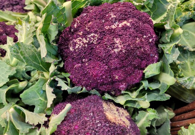 https://www.fermeducoin.fr/wp-content/uploads/2023/02/brocoli-violet-cap-650x450.jpg