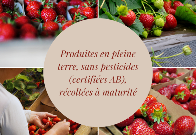 https://www.fermeducoin.fr/wp-content/uploads/2023/04/Produites-en-pleine-terre-sans-pesticides-certifiees-AB-recoltees-a-maturite-650x450.png