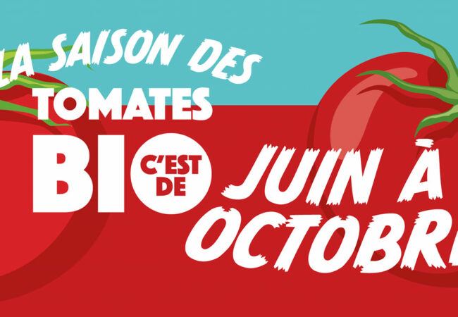 https://www.fermeducoin.fr/wp-content/uploads/2023/05/saison-tomates-reseau-650x450.jpg