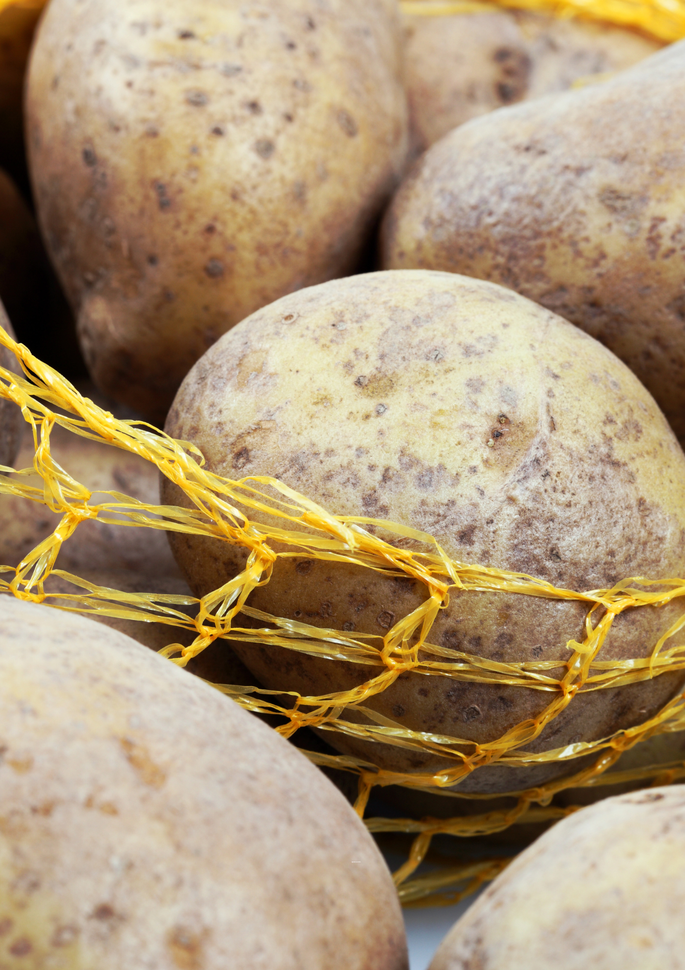Pomme de terre, chair tendre - variété Maïwenn