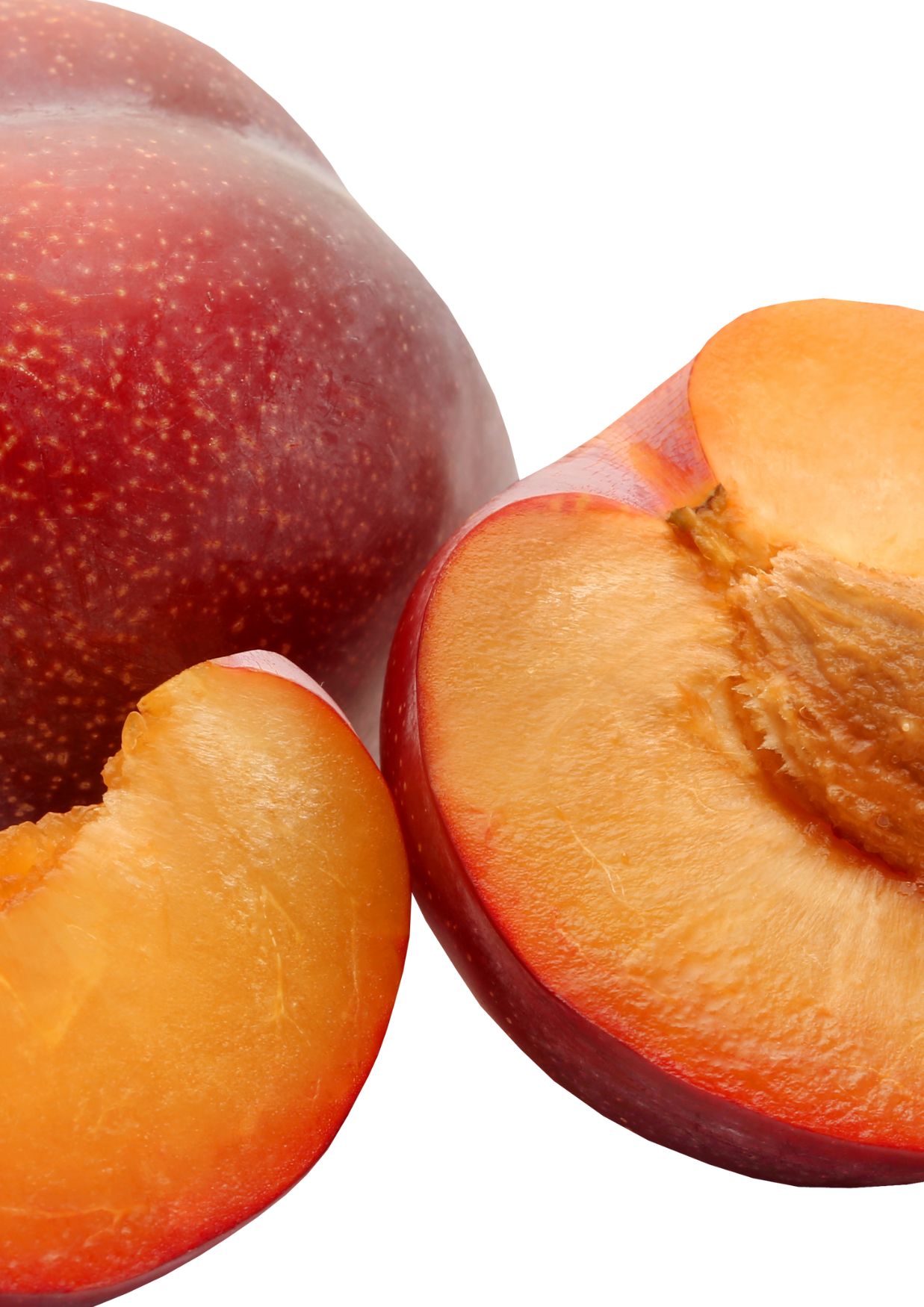 Prunes, variété TC Sun