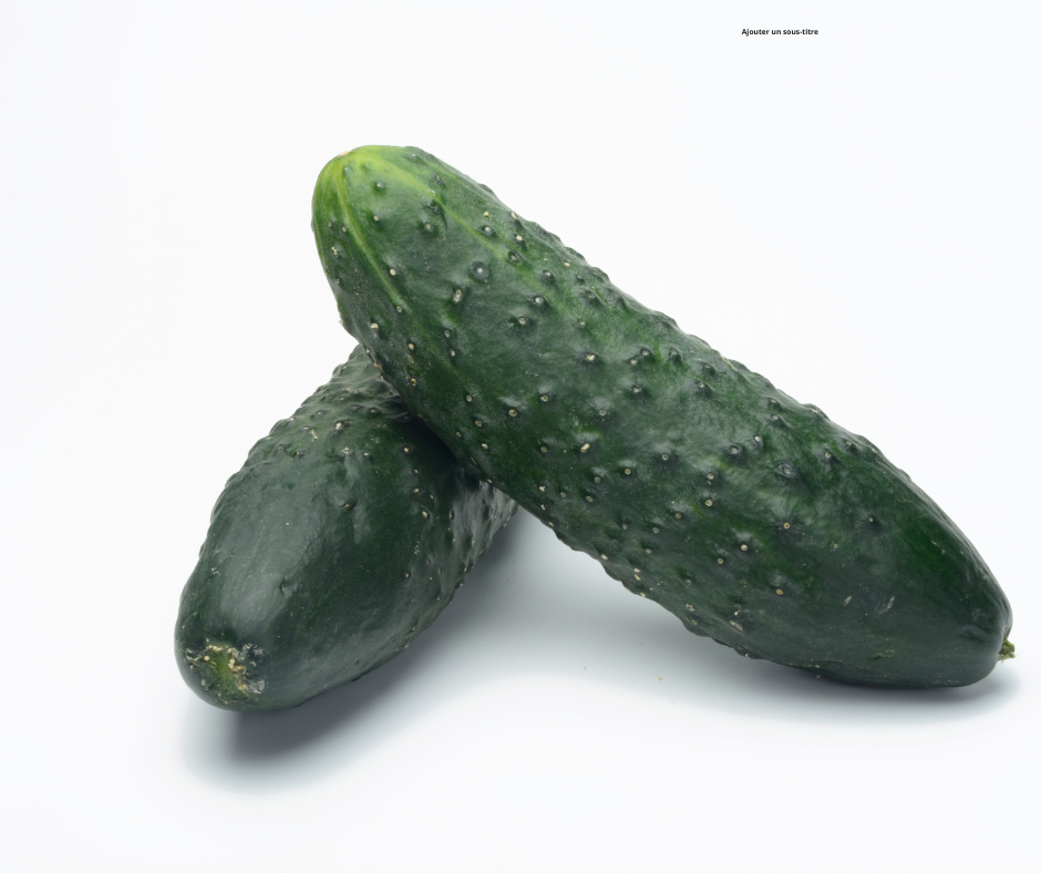 Concombre court épineux